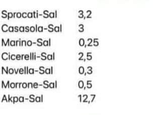 Salernitana: “voglio essere penalizzato” l’interessante analisi di Michele Luzi sul caso plusvalenze su Fb fa il giro del web