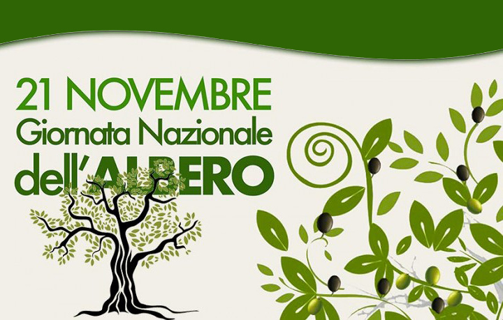 Giornata Alberi, Matteoni(MMG): “Sia monito per un’economia realmente sostenibile per ambiente”
